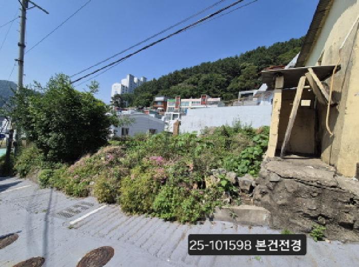 부산광역시 사하구 괴정동 산5-8 임야 경매 사진 6
