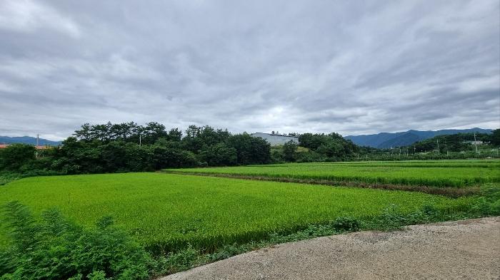 경상북도 영천시 화산면 대안리 1005-2 창고 경매 사진 1