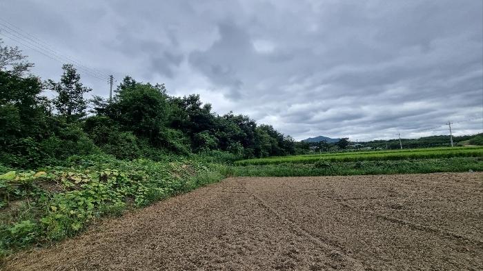 경상북도 영천시 화산면 대안리 1005-2 창고 경매 사진 18