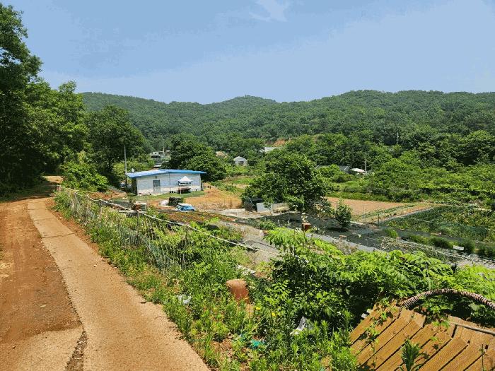 인천광역시 옹진군 북도면 장봉리 62-1 전 경매 사진 4