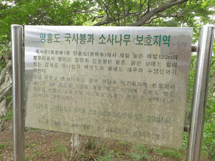 인천광역시 옹진군 영흥면 내리 1311-2 임야 경매 사진 5