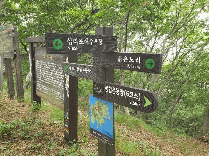 인천광역시 옹진군 영흥면 내리 1311-2 임야 경매 사진 6