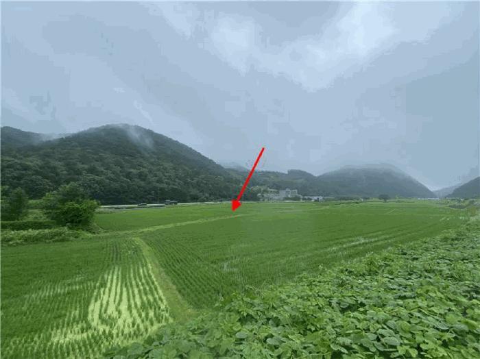 경기도 파주시 법원읍 웅담리 109-16 답 경매 사진 1