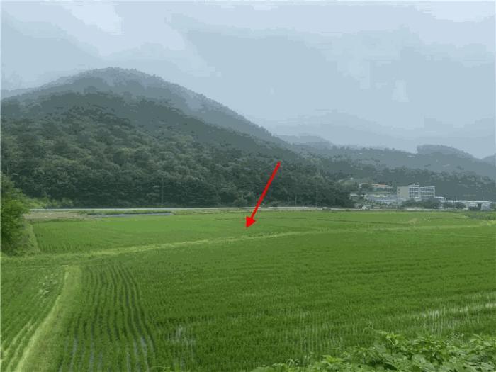 경기도 파주시 법원읍 웅담리 109-16 답 경매 사진 3