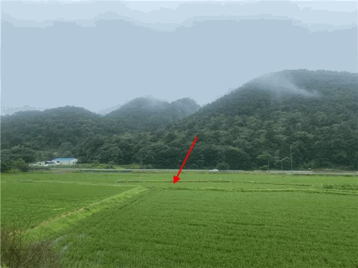 경기도 파주시 법원읍 웅담리 109-16 답 경매 사진 4
