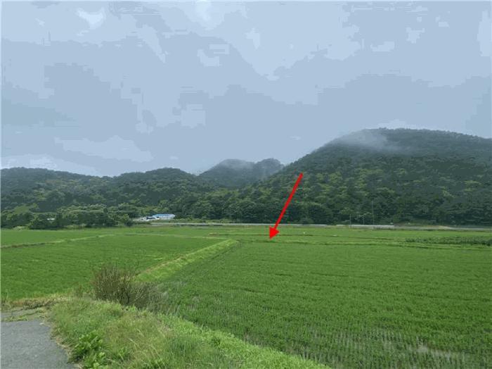 경기도 파주시 법원읍 웅담리 109-16 답 경매 사진 6