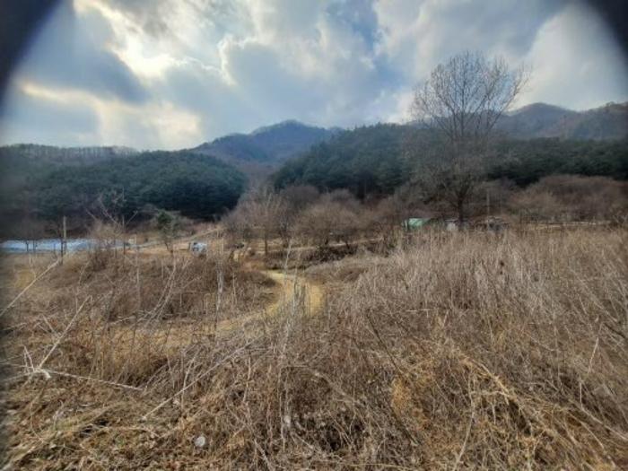 경기도 포천시 관인면 사정리 산451 임야 경매 사진 6
