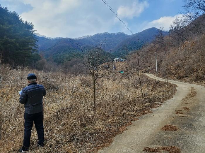 경기도 포천시 관인면 사정리 산451 임야 경매 사진 7