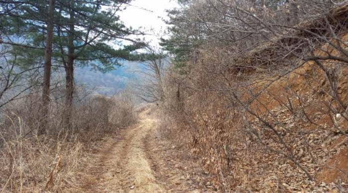 경기도 포천시 관인면 사정리 산540 임야 경매 사진 13