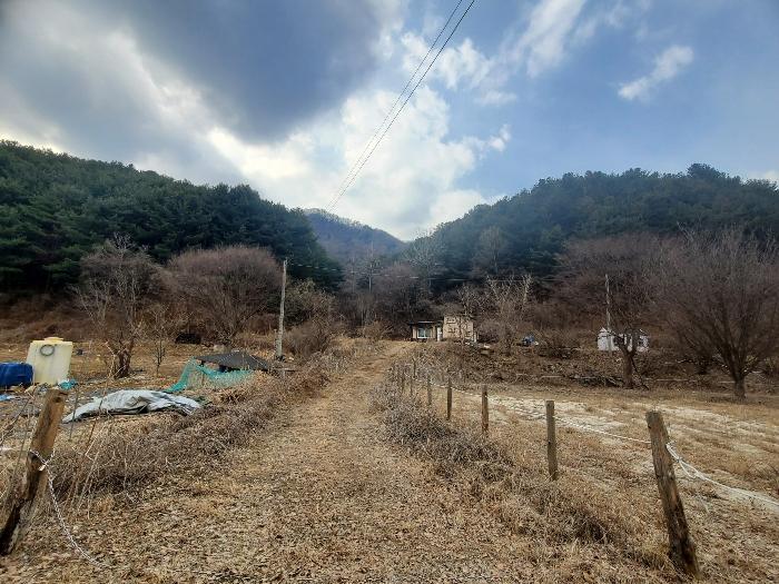 경기도 포천시 관인면 사정리 산540 임야 경매 사진 2