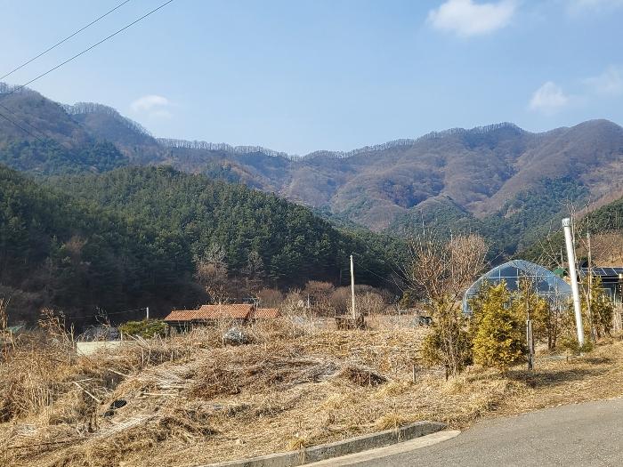 경기도 포천시 관인면 사정리 산540 임야 경매 사진 8