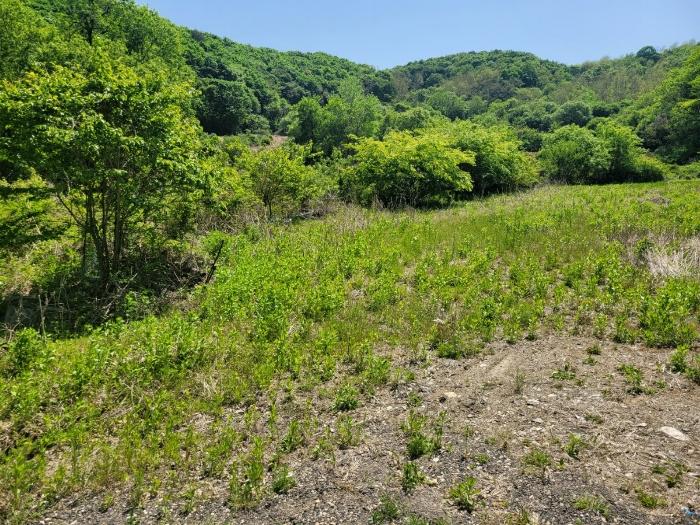 강원특별자치도 철원군 철원읍 내포리 759-17 답 경매 사진 13
