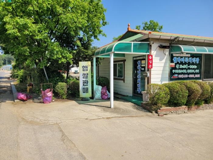 강원특별자치도 철원군 철원읍 내포리 137-2 답 경매 사진 14