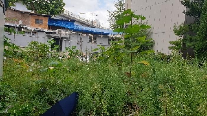 서울특별시 성북구 하월곡동 90-223 대지 경매 사진 12
