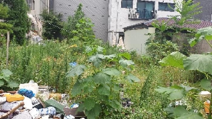 서울특별시 성북구 하월곡동 90-223 대지 경매 사진 17