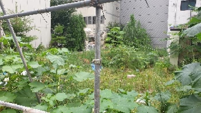서울특별시 성북구 하월곡동 90-223 대지 경매 사진 18