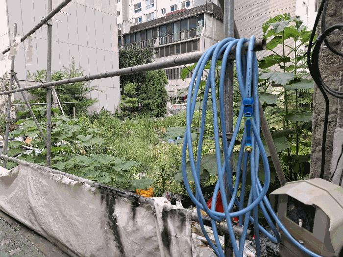 서울특별시 성북구 하월곡동 90-223 대지 경매 사진 2