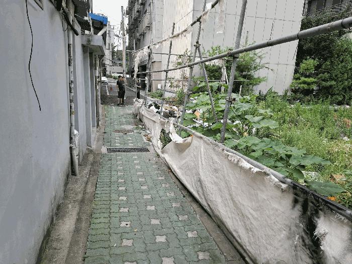 서울특별시 성북구 하월곡동 90-223 대지 경매 사진 6