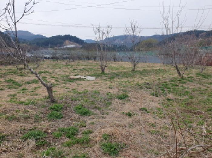 경기도 가평군 상면 행현리 248-2 전 경매 사진 6