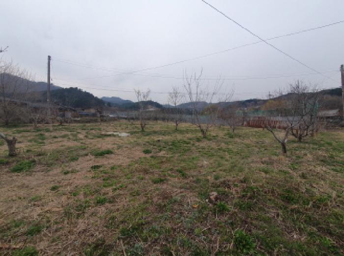 경기도 가평군 상면 행현리 248-2 전 경매 사진 7