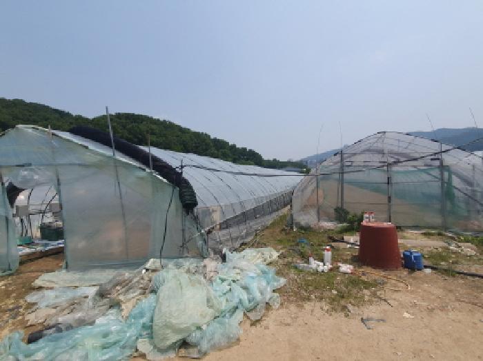 경기도 남양주시 평내동 385-1 전 경매 사진 10