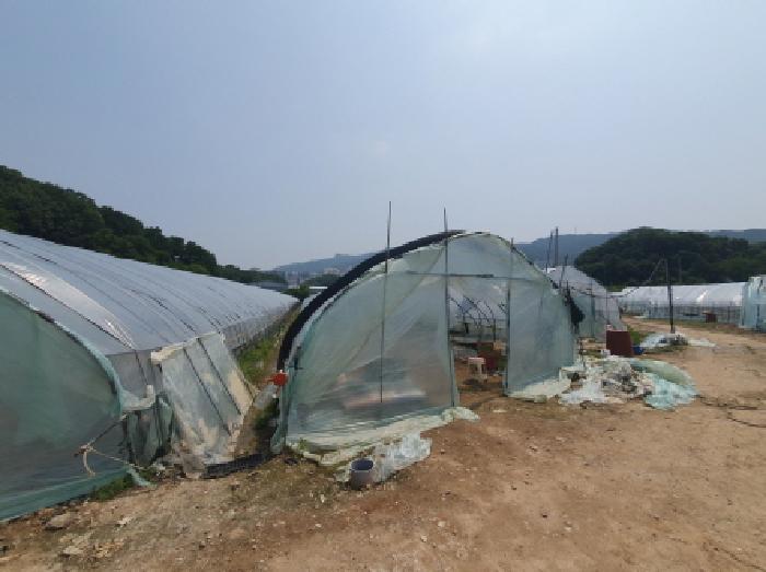 경기도 남양주시 평내동 385-1 전 경매 사진 11