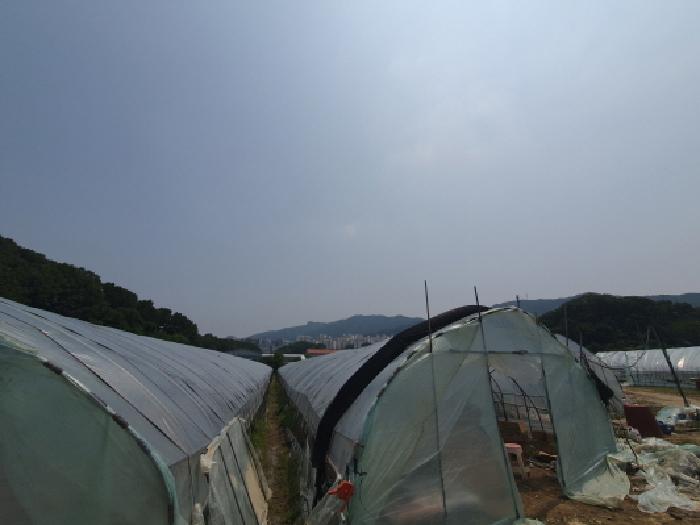 경기도 남양주시 평내동 385-1 전 경매 사진 12