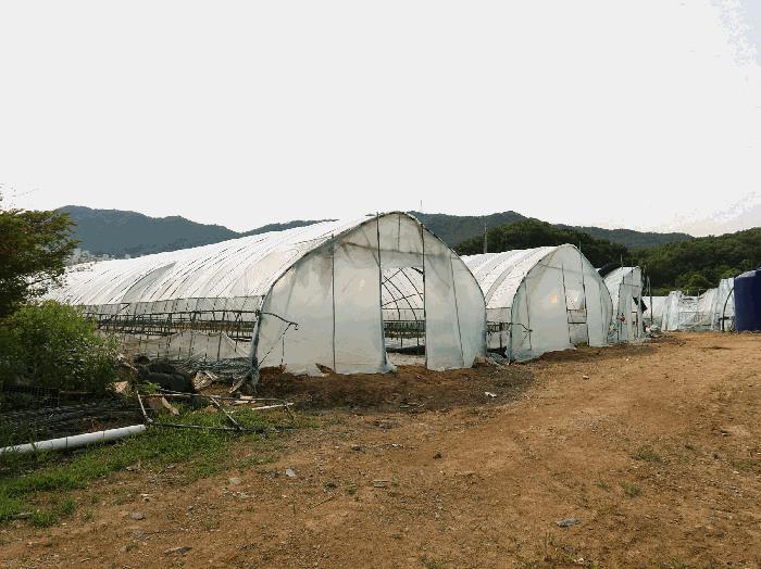 경기도 남양주시 평내동 385-1 전 경매 사진 13