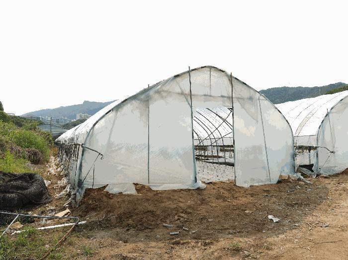 경기도 남양주시 평내동 385-1 전 경매 사진 3