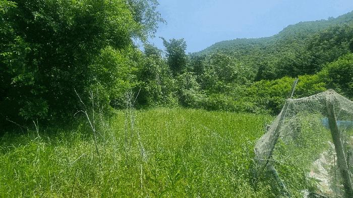 경기도 남양주시 별내면 용암리 146 전 경매 사진 3