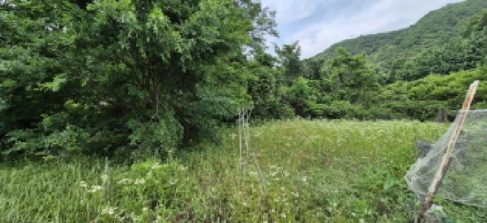 경기도 남양주시 별내면 용암리 146 전 경매 사진 9