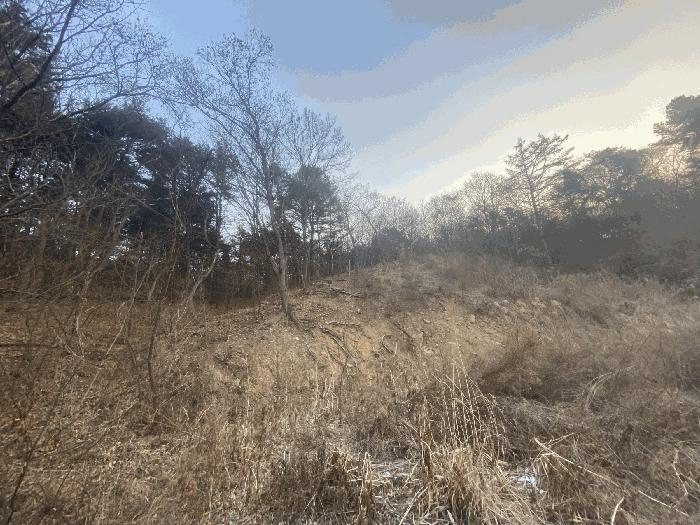 세종특별자치시 연서면 고복리 172-16 임야 경매 사진 19