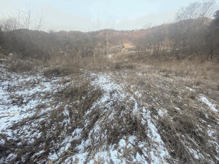 세종특별자치시 연서면 고복리 172-16 임야 경매 사진 5