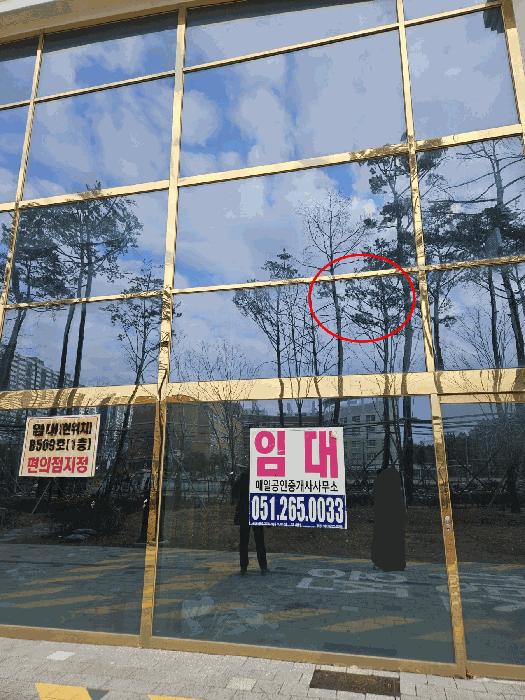 부산광역시 사하구 다대동 96-2 다대아이너시티 지하5층510호 근린상가 경매 사진 6
