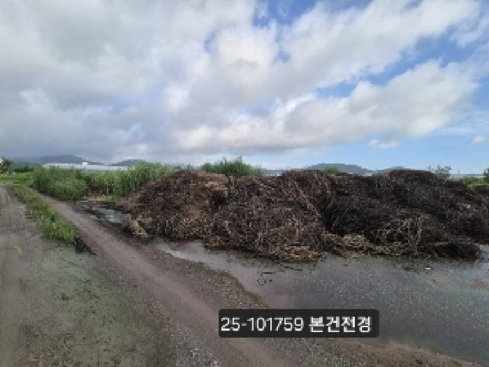 부산광역시 강서구 봉림동 763-1692 답 경매 사진 3