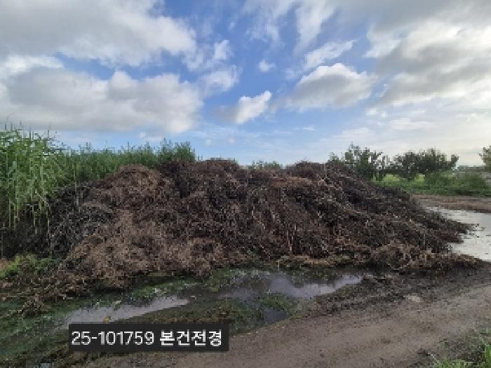 부산광역시 강서구 봉림동 763-1692 답 경매 사진 4