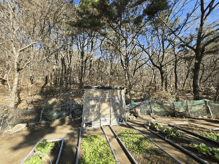 부산광역시 북구 만덕동 산5 임야 경매 사진 11