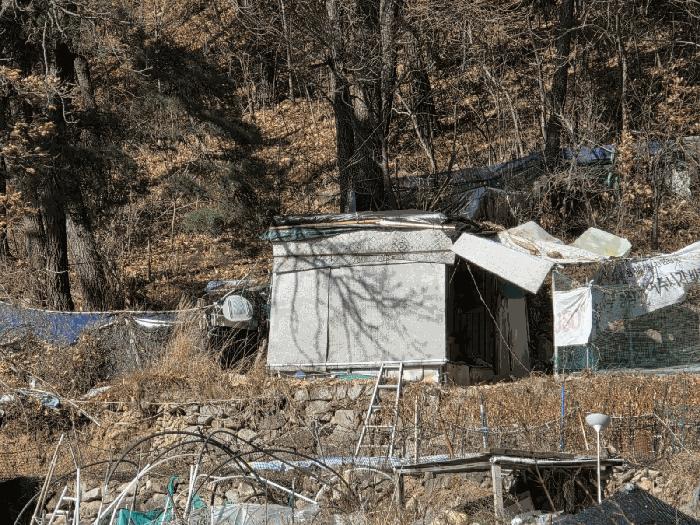 부산광역시 북구 만덕동 산5 임야 경매 사진 12