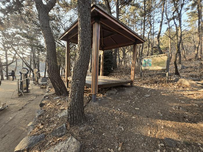 부산광역시 북구 만덕동 산5 임야 경매 사진 2
