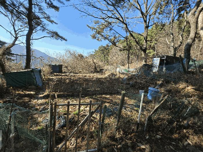 부산광역시 북구 만덕동 산5 임야 경매 사진 3