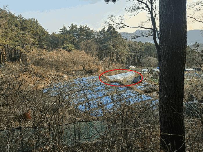 부산광역시 북구 만덕동 산5 임야 경매 사진 4