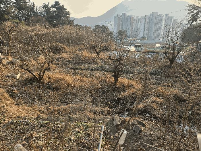 부산광역시 북구 만덕동 산5 임야 경매 사진 6