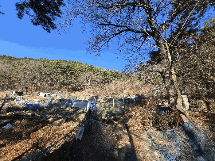 부산광역시 북구 만덕동 산5 임야 경매 사진 9