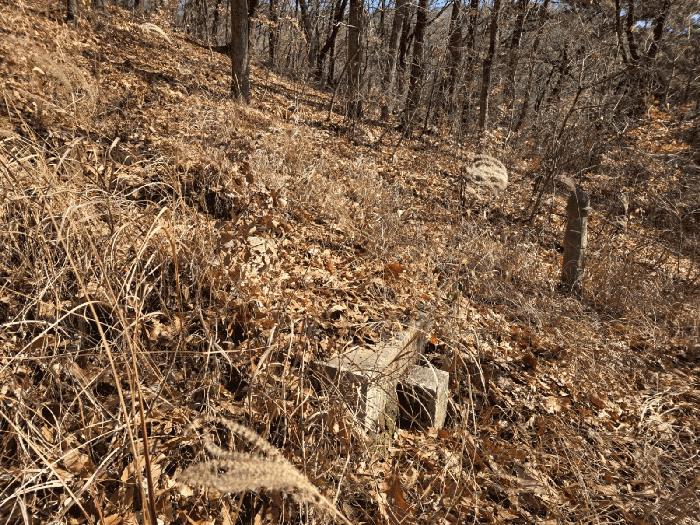 부산광역시 북구 만덕동 산6 임야 경매 사진 15