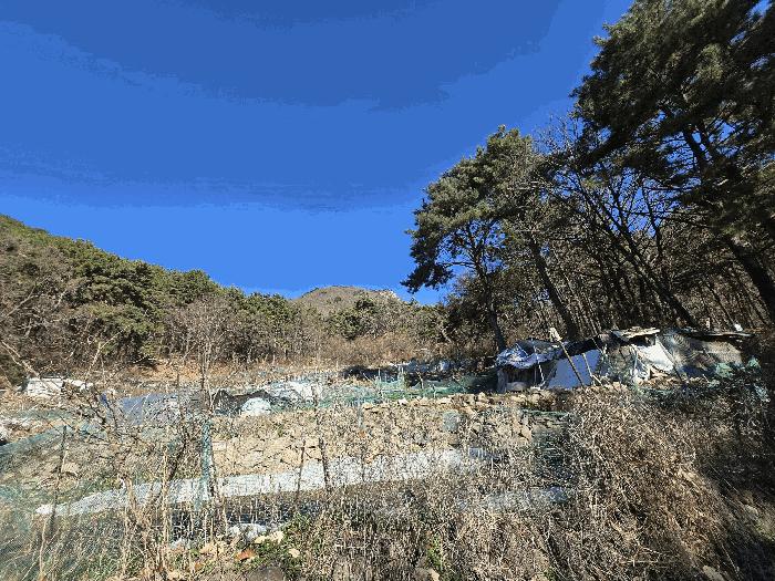 부산광역시 북구 만덕동 산6 임야 경매 사진 18