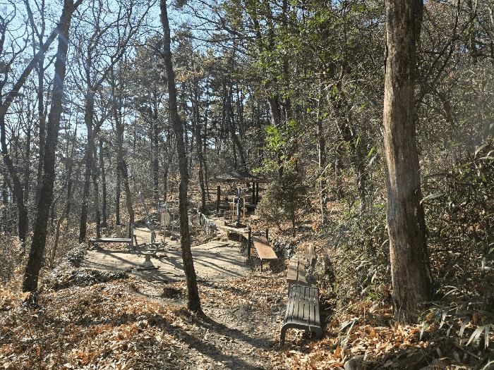 부산광역시 북구 만덕동 산6 임야 경매 사진 5