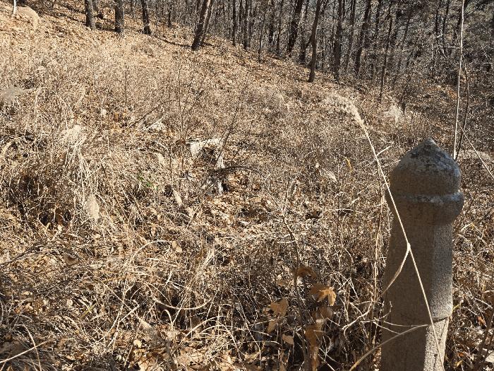 부산광역시 북구 만덕동 산6 임야 경매 사진 7