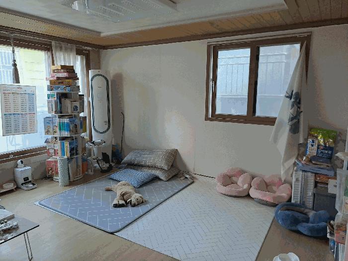 부산광역시 사하구 괴정동 354-32 두루누리 2동 2층202호 다세대(빌라) 경매 사진 2