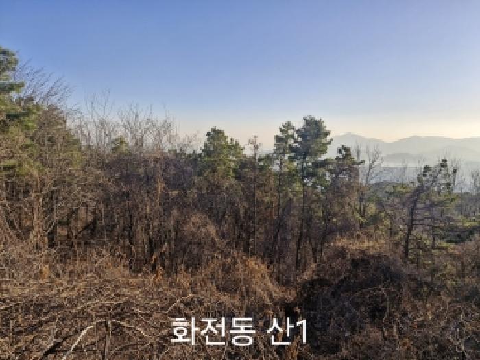 부산광역시 강서구 송정동 183 임야 경매 사진 1
