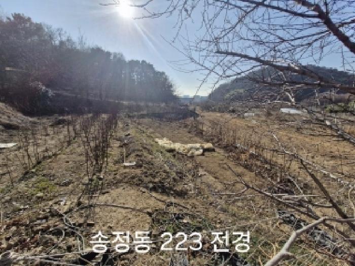 부산광역시 강서구 송정동 183 임야 경매 사진 5